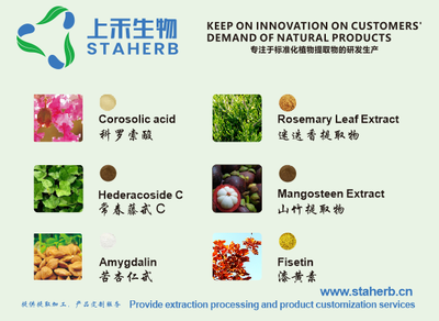 綠原酸 天然綠色的多面手，工業(yè)植物提取引領(lǐng)健康新未來